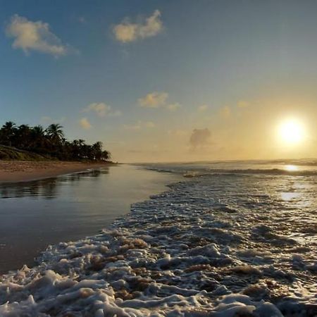 Pe Na Areia Vista Total Mar - O Paraiso E Aqui! Salvador Eksteriør bilde