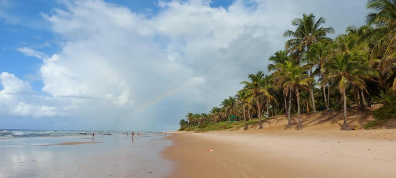 Pe Na Areia Vista Total Mar - O Paraiso E Aqui! Salvador Eksteriør bilde